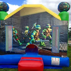 Hire Ninja Turtles (4x4m) Castle with Basketball Ring inside