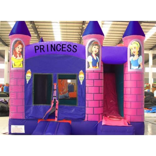 Hire Large Princess Combo Jumping Castle