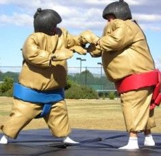 Hire Kids Sumo Suits, in Keilor East, VIC
