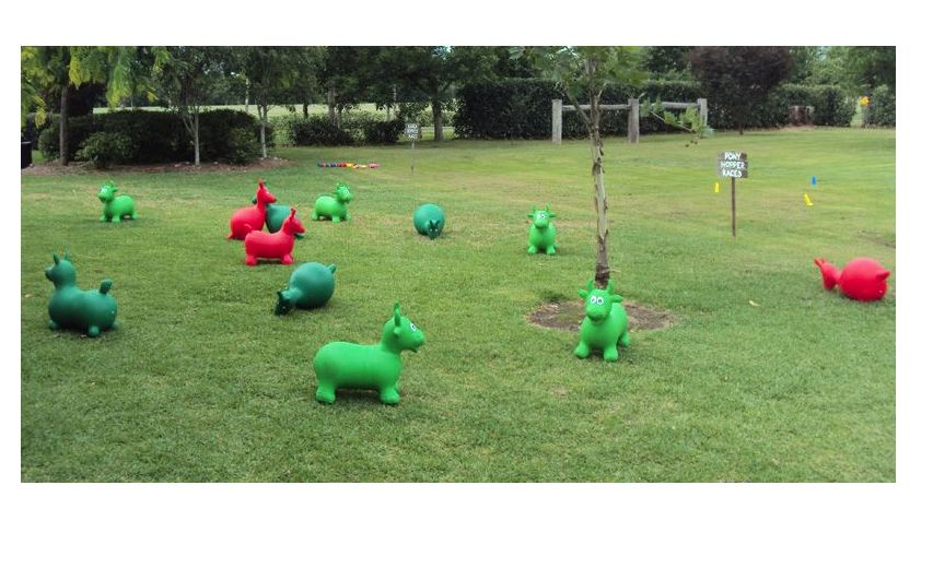 Hire Toddler Animals Hoppers (Set of 3) Pick up: Seven Hills & Gladesville, hire Miscellaneous, near Sydney