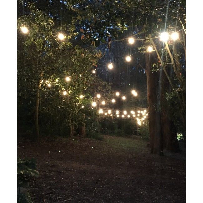 Hire Festoon Party Lights 20m Hire, hire Party Lights, near Kensington image 2