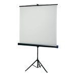 Hire 3600 Lumen Projector, Tripod Screen, Party Speaker & 2 Wireless Microphones, in Crawley, WA