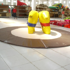 Hire KIDS AGES FROM 12 TO ADULTS SUMO SUITS