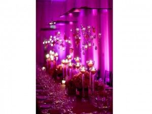 Hire Lilac Charm, hire Party Packages, near Wetherill Park image 2