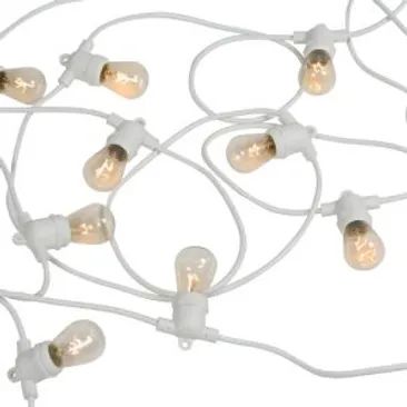 Hire Festoon LED Lights 20pcs Bulb White Cable
