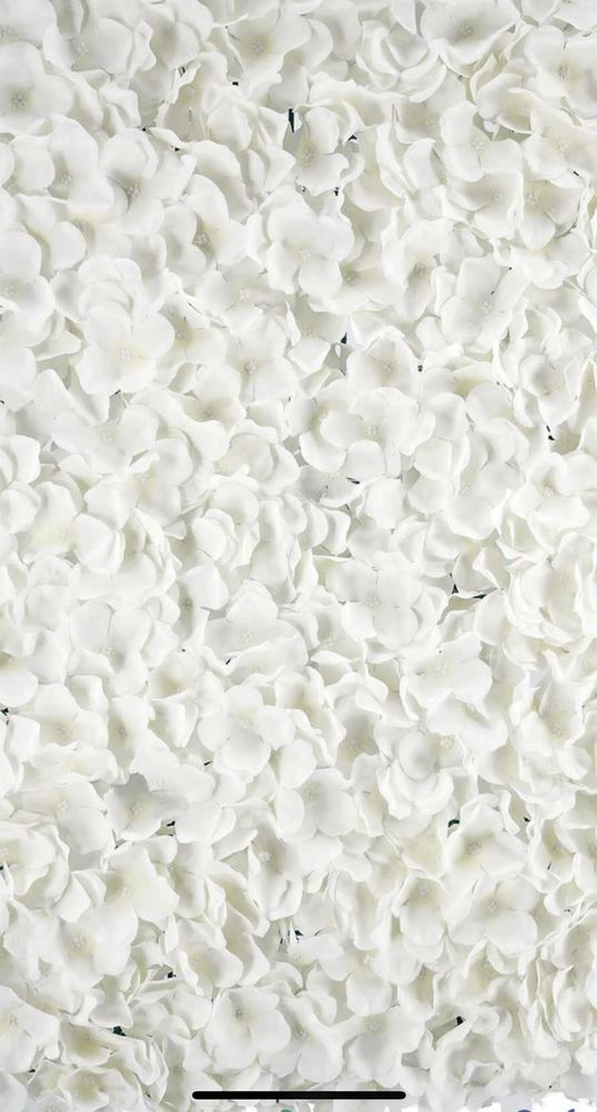 Hire White Hydrangeas Flowerwall, hire Miscellaneous, near Cabramatta
