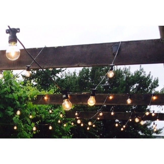 Hire Festoon Party Lights 20m Hire, hire Party Lights, near Kensington image 1