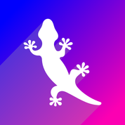 Logo for Gecko Rentals Admin