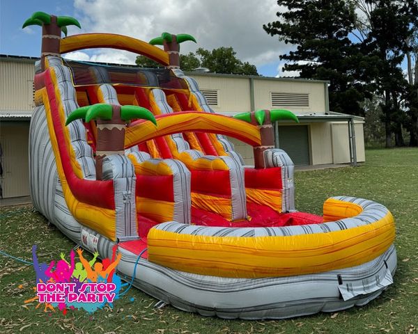 Hire Dolphin Water Slide Dual Lane, from Don’t Stop The Party