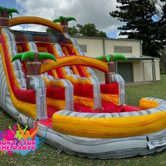 Hire Dolphin Water Slide Dual Lane