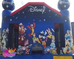 Hire World of Disney Jumping Castle, hire Jumping Castles, near Geebung image 1