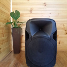 Hire HIGH POWERED 15″ 1000W ACTIVE SPEAKER WITH BLUETOOTH, in Alexandria, NSW