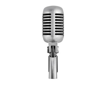 Hire S55 vocal microphone