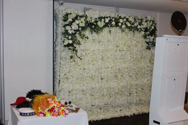 Hire Flower wall floral backdrop, in Haberfield, NSW