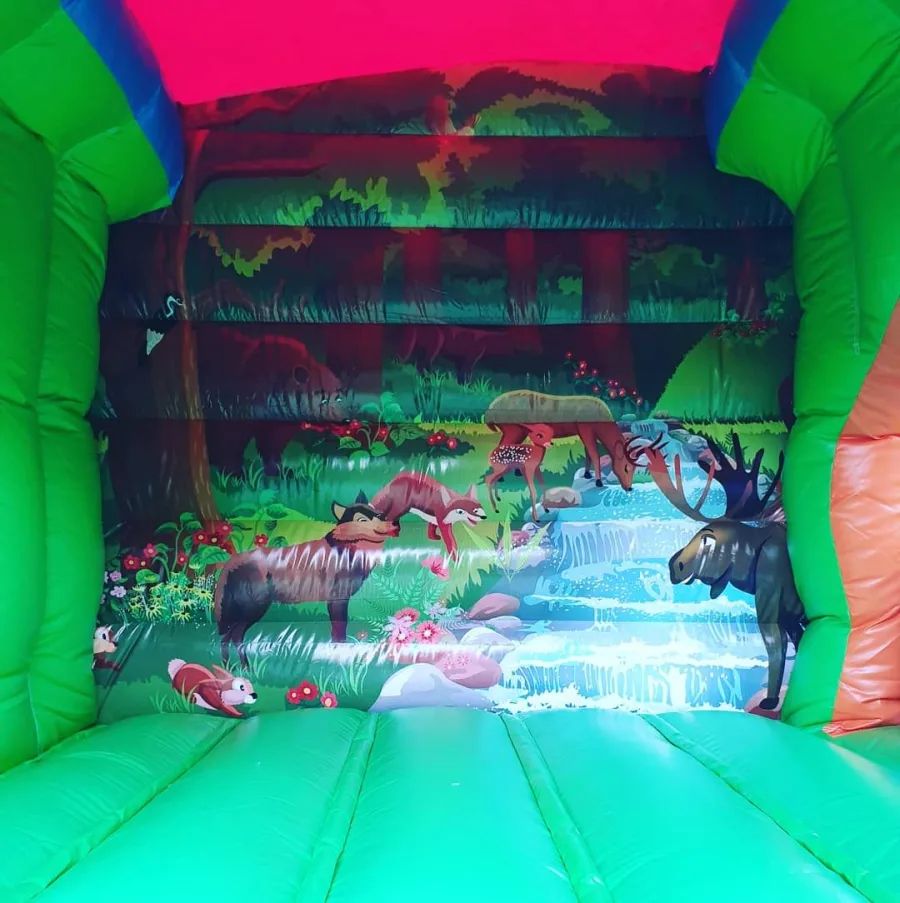 Hire Dinosaur Jumping Castle, hire Jumping Castles, near Hallam image 1