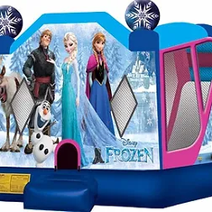 Hire Frozen (5x5m) with slide inside