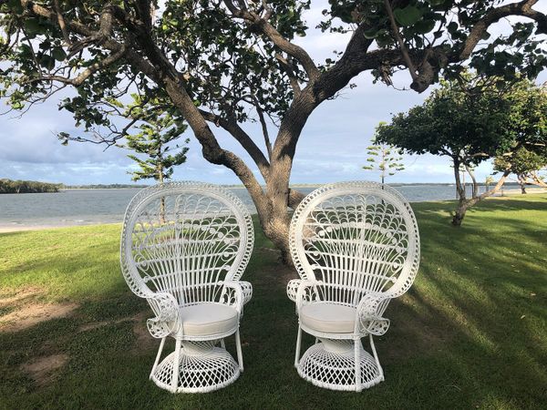 Hire Peacock Chair, in Underwood, QLD