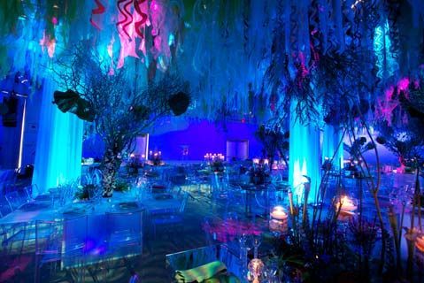 Hire Under The Sea Lighting Package, hire Party Lights, near Marrickville