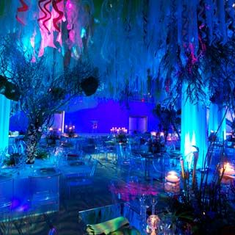 Hire Under The Sea Lighting Package, in Marrickville, NSW