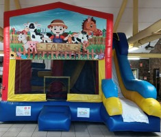 Hire Sports Combo Jumping Castle and Slide, in Geebung, QLD