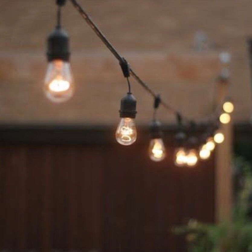 Hire Festoon Lights, hire Miscellaneous, near Seaforth