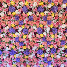 Hire Mix Garden Fairy Flower Wall, in Cabramatta, NSW